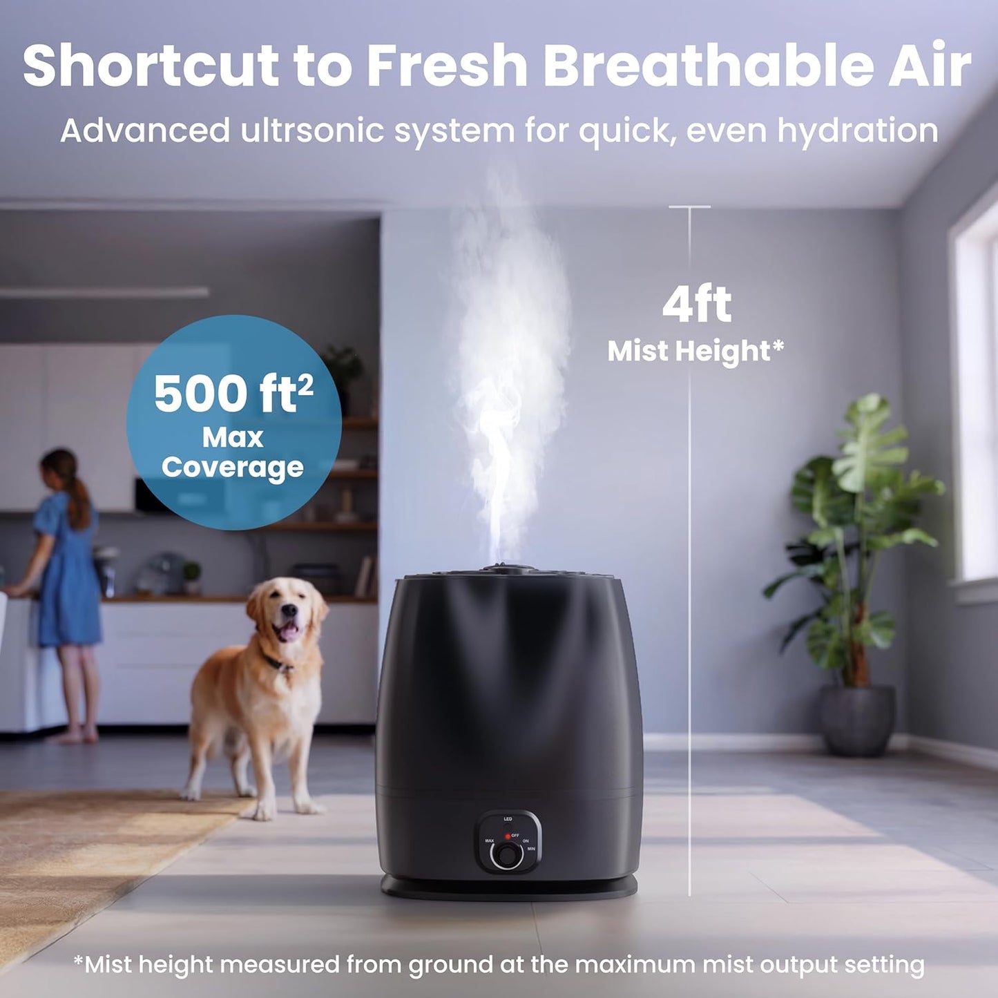 6L Humidifier for Nursery